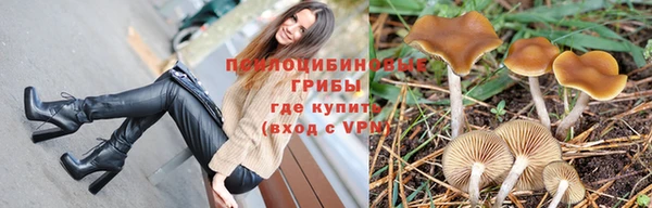 круглые Алексеевка