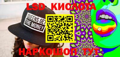 ПСИЛОЦИБИНОВЫЕ ГРИБЫ Кимры