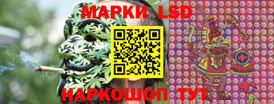 МДПВ Кингисепп