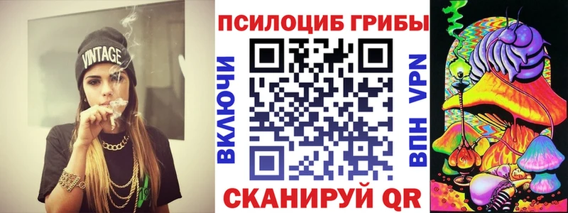 shop состав Лесной Псилоцибиновые грибы Cubensis что такое