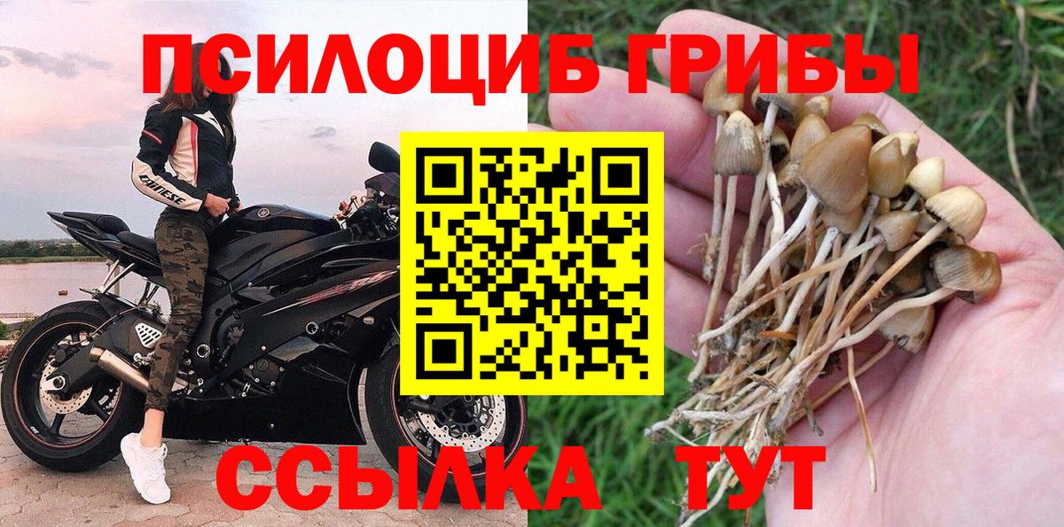 Псилоцибиновые грибы ЛСД  Галлюциногенные грибы Psilocybine cubensis  где найти   Лесной  Вход с VPN 